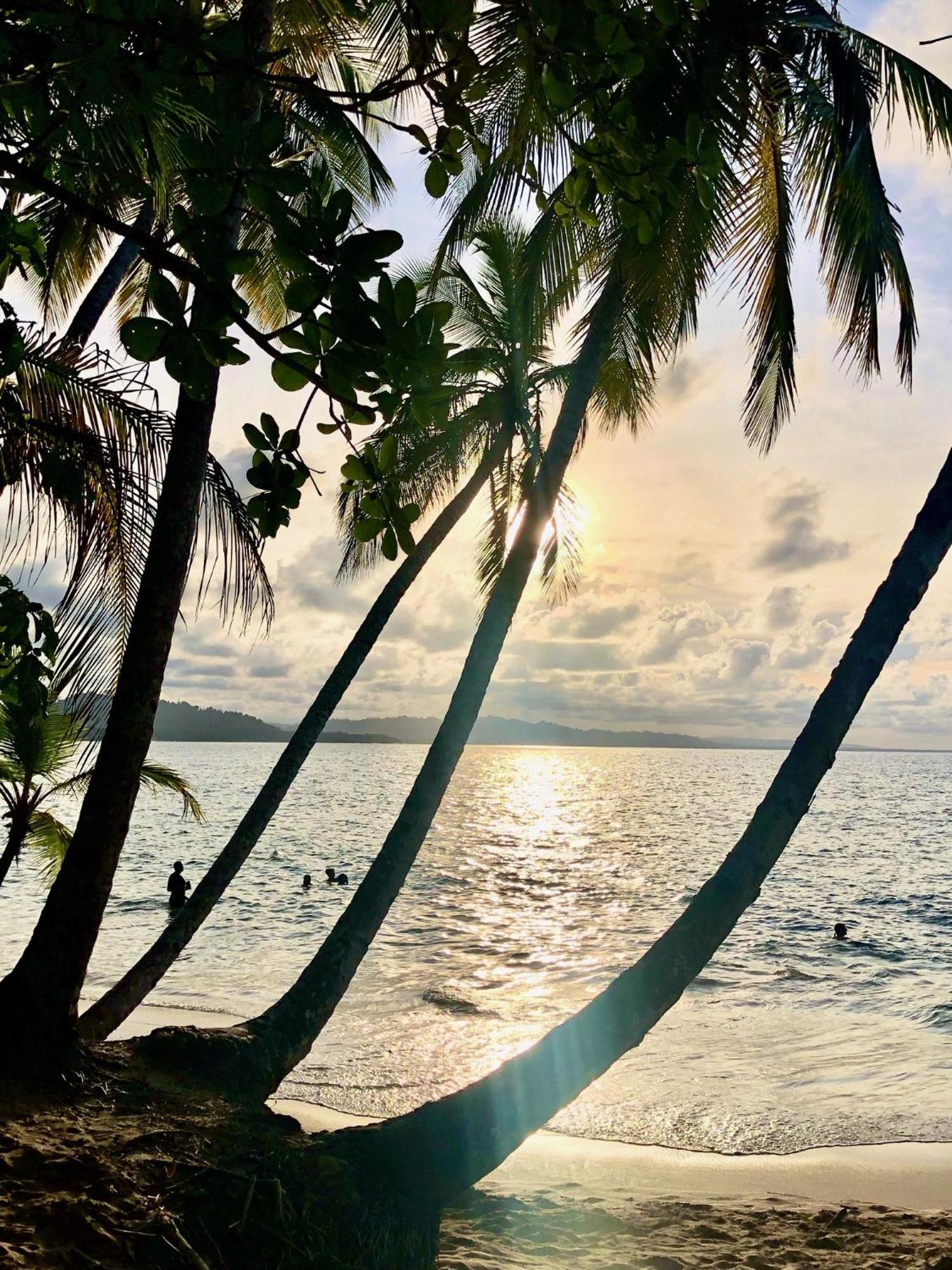 Cabinas Ole Caribe Puerto Viejo de Talamanca Bagian luar foto
