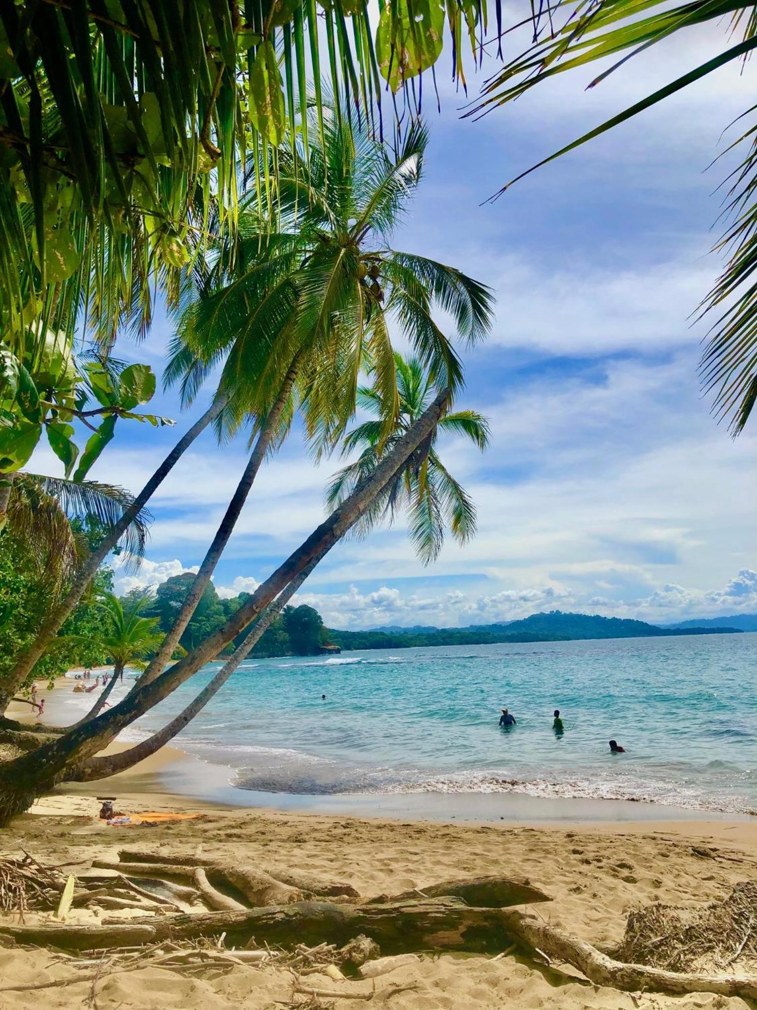 Cabinas Ole Caribe Puerto Viejo de Talamanca Bagian luar foto